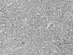 나와 그의 선택