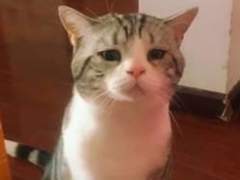 127막내 김여주 모먼트 EP.28