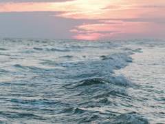 조개껍데기는 녹슬지 않는다.