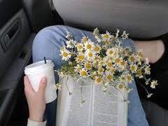 15ㅣthe perks of being a wallflower