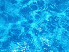 첫커를 위한 커뮤