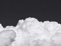 친구야 보고 싶다 내 말 들리니?