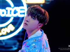 분홍(雰虹) - 보라_79