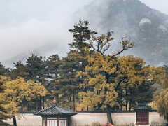 운영전(雲影傳) - 完