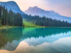 강해지고 싶어요