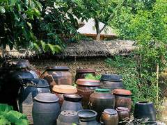 사라지는 것들/이도은