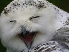 어서오세요 하이큐 하숙집에 15