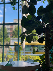 카카오톡테마 배포