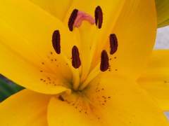 어떤 풍경/이도은