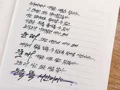 양들이 잠드는 시간 4-4