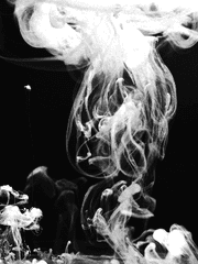 MONOTONE :: 기울어진 흑백의 천칭