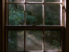 [리들아샤] 終末