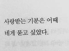 답장이 되어버린 고백. 으로 위장한 낚고였지만 우린 이미 성사였다.