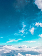 일상과 혼란과 고민