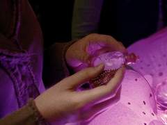 아무텐시아[동혁 외전]