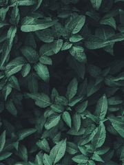 조금 정성들여 끄적여보았다