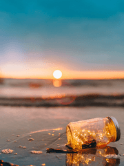 자유글 끄적이는 노트