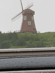 감자짜글이의 에세이