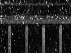 한 여름밤의 꿈