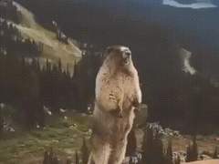 약한영웅 트윗백업 6월