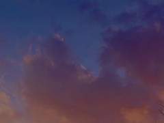 마들여슾 ‘질투’