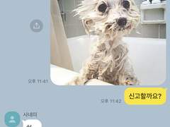 귀멸의 칼날 카카오톡 2