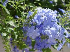 언니들 안녕, 열한 시에.