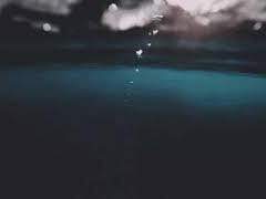 친애하는 교수님, 오데뜨.