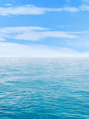 상념과 망상과 게으름