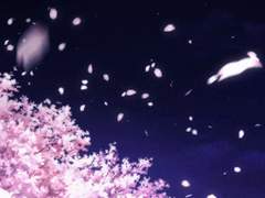 [카게야마 중심] 황금부수비: 1