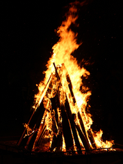 붉은 정화의 화염