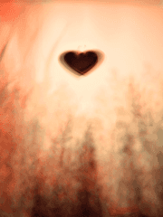 맘다의 단편 혹은 조각들