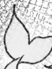 봄,우리,바라다