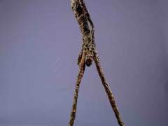 알베르토 자코메티 「걸어가는 사람」