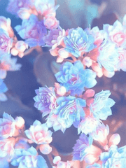 커뮤 캐릭터 모음