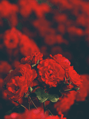 언더테일/델타룬