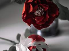 SPECIAL MISSION No.15