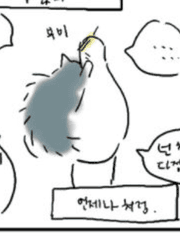 맥커크) 환생한 본즈는 거대 고양이 노르웨이숲