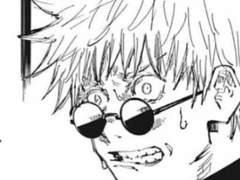 고죠 씨는 회색 고양이가 마음에 들지 않아