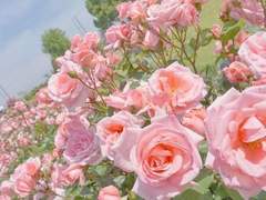 다른뜻 같은 마음