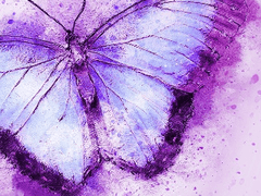 [수련애교] 헤픈 完