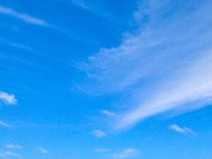 청을 향한 아우성