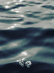 늦덕_헤메는 일상