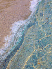 그해 여름 우리는