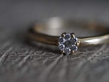 다정함과 이성의 고해