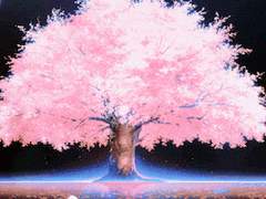 [카게야마 중심] 황금부수비: 2