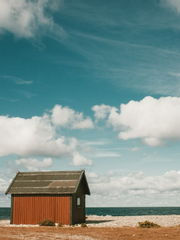 버추얼 러버 Virtual Lover