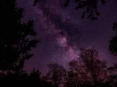 지금껏 보지 못했을 정도로 달이 밝은 날.