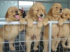 대존잘 정씨모임 TALK 01