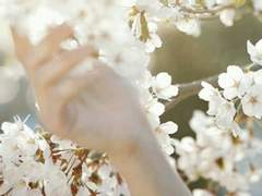 춘하추동(春夏秋冬) ; 마지막 이야기 (完)